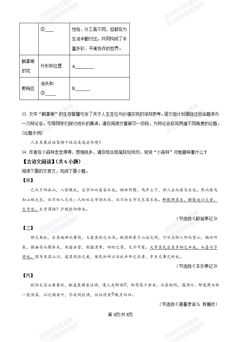 五大名校真题练!西安铁一中学25-26九上第一次月考【语文】|试卷、答案免费下载-第7张图片-四季读书网 五大名校真题练!西安铁一中学25-26九上第一次月考【语文】|试卷、答案免费下载-第7张图片-四季读书网
