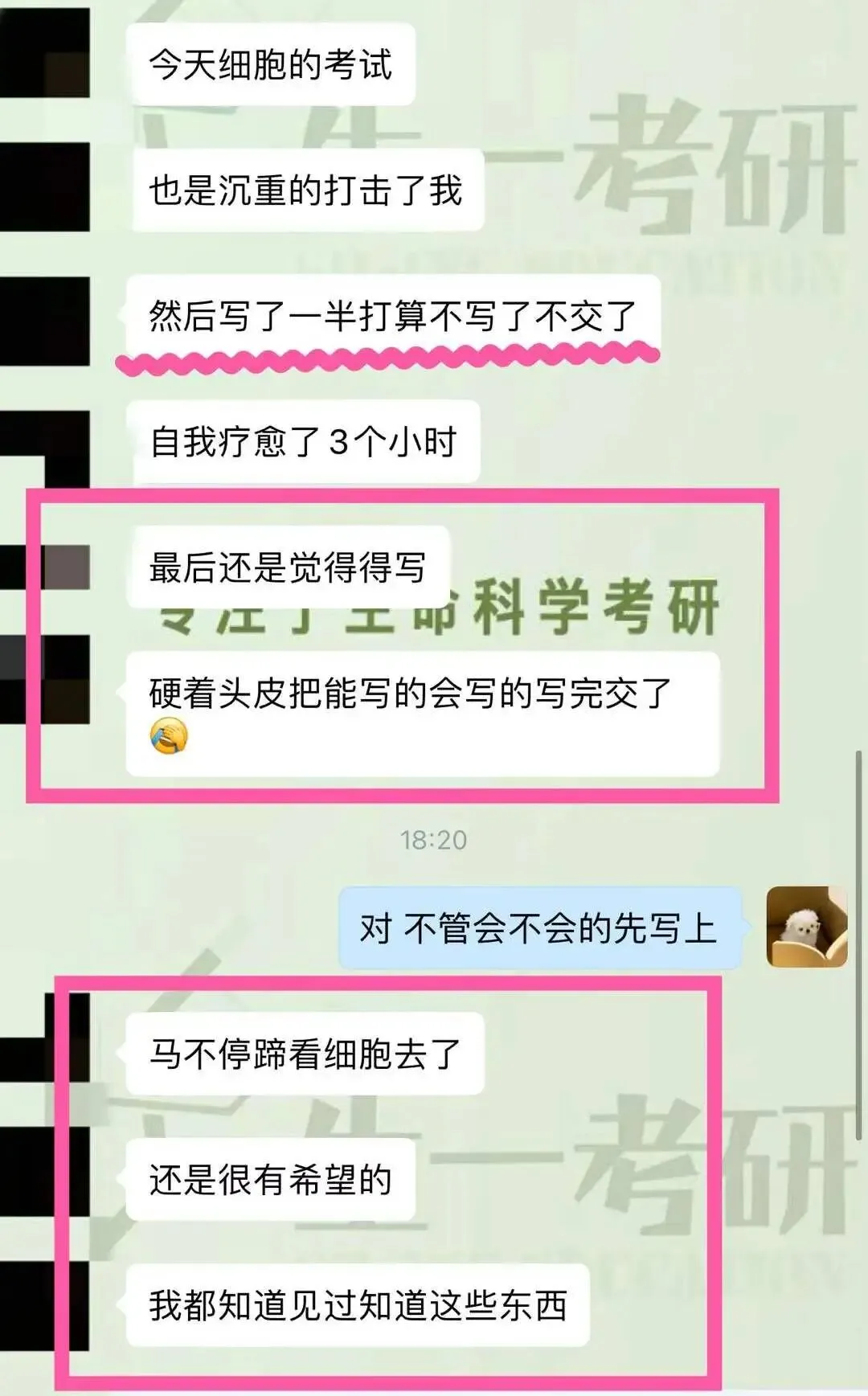 【27生物考研】为什么初试前一定要进行模拟考试?模考应该怎么选择卷?-第10张图片-四季读书网 【27生物考研】为什么初试前一定要进行模拟考试?模考应该怎么选择卷?-第10张图片-四季读书网