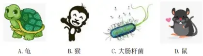【精准题库】2026年辐射安全与防护考试题库-X射线探伤题库-在线刷题小程序-试题真题卷-第22张图片-四季读书网 【精准题库】2026年辐射安全与防护考试题库-X射线探伤题库-在线刷题小程序-试题真题卷-第22张图片-四季读书网