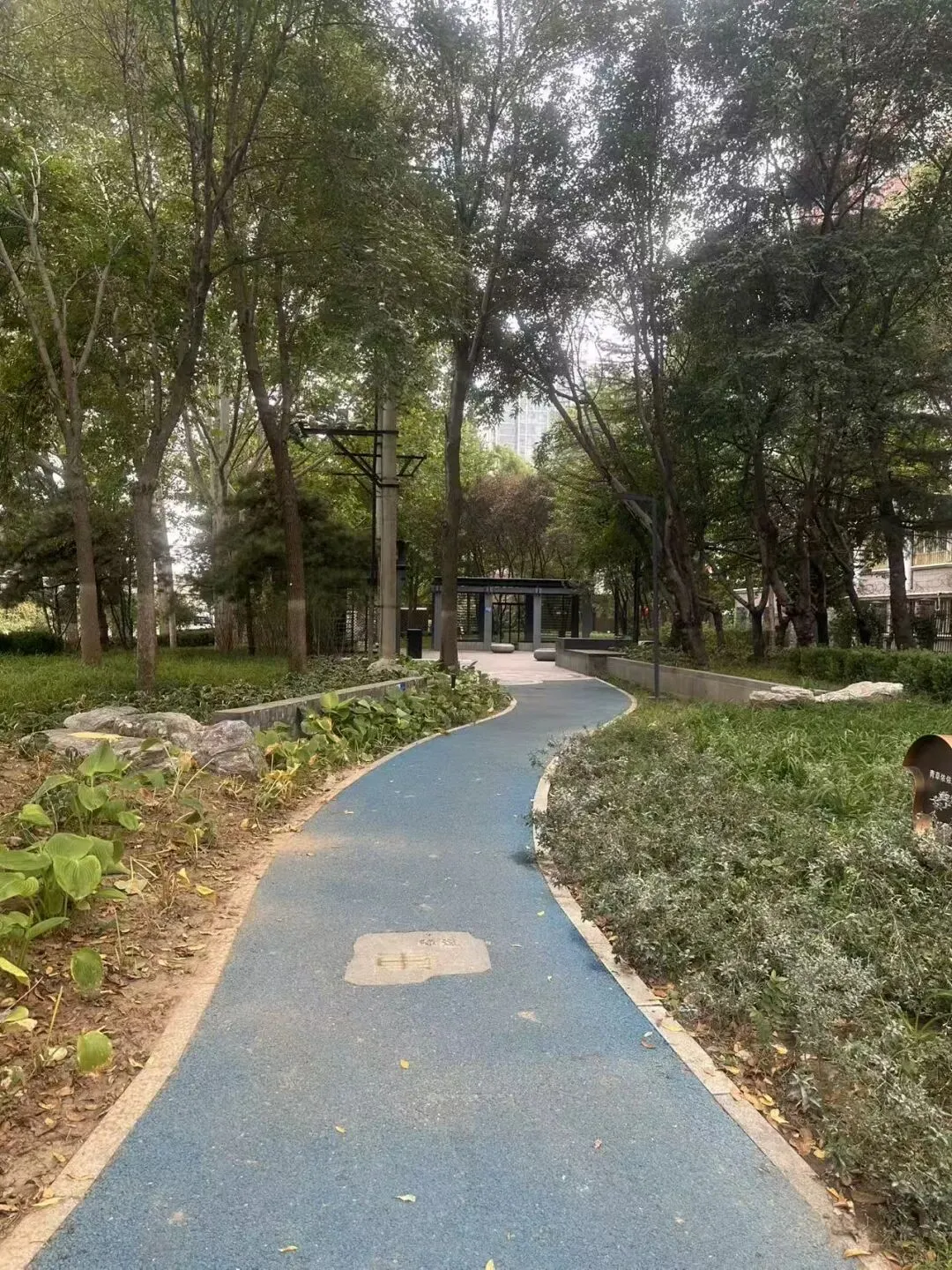 不掐尖却能中考成绩稳居东城前三,怎么才能进?文汇中学教育集团升学路径全解析+小区踩盘!-第20张图片-四季读书网