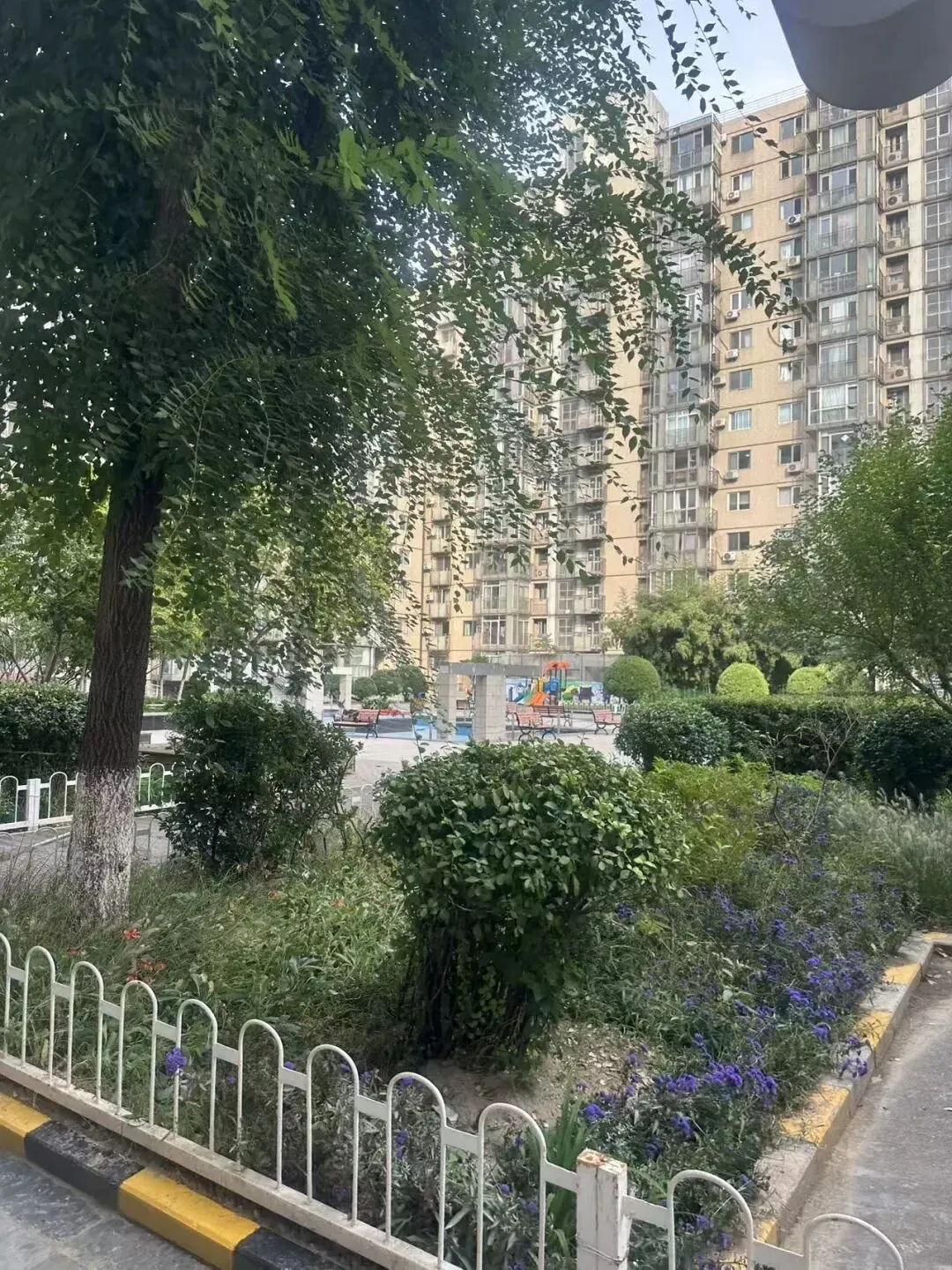 不掐尖却能中考成绩稳居东城前三,怎么才能进?文汇中学教育集团升学路径全解析+小区踩盘!-第27张图片-四季读书网