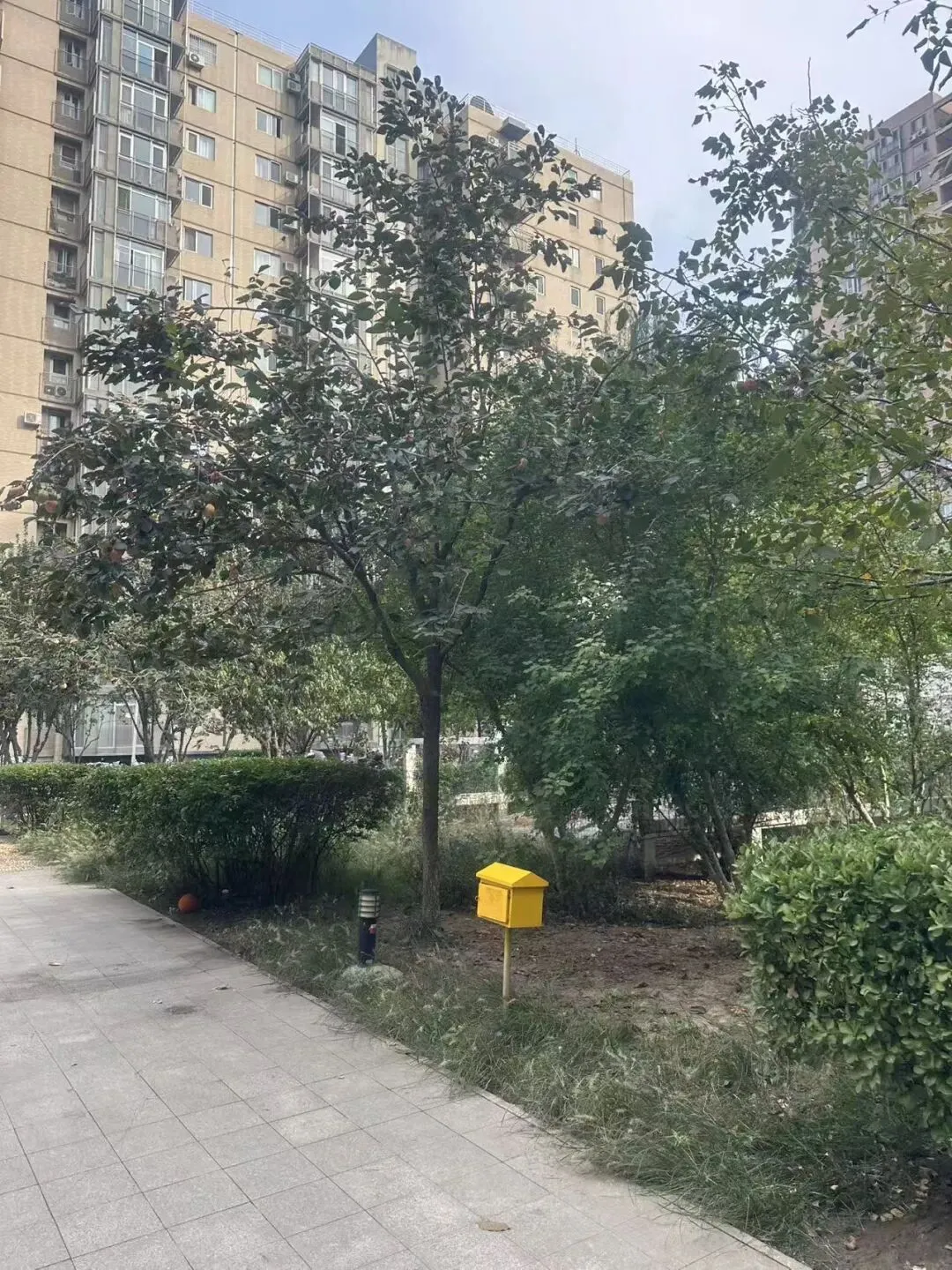 不掐尖却能中考成绩稳居东城前三,怎么才能进?文汇中学教育集团升学路径全解析+小区踩盘!-第28张图片-四季读书网