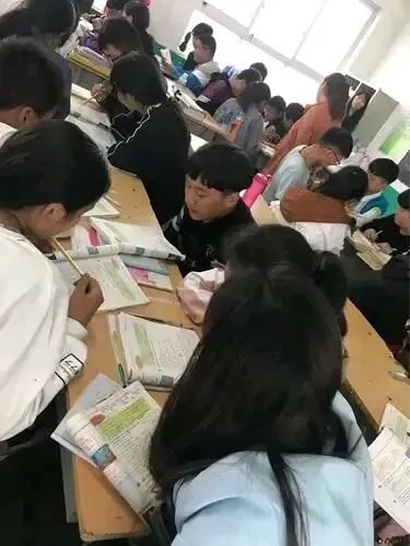 中考真的需要取消英语吗?-第3张图片-四季读书网