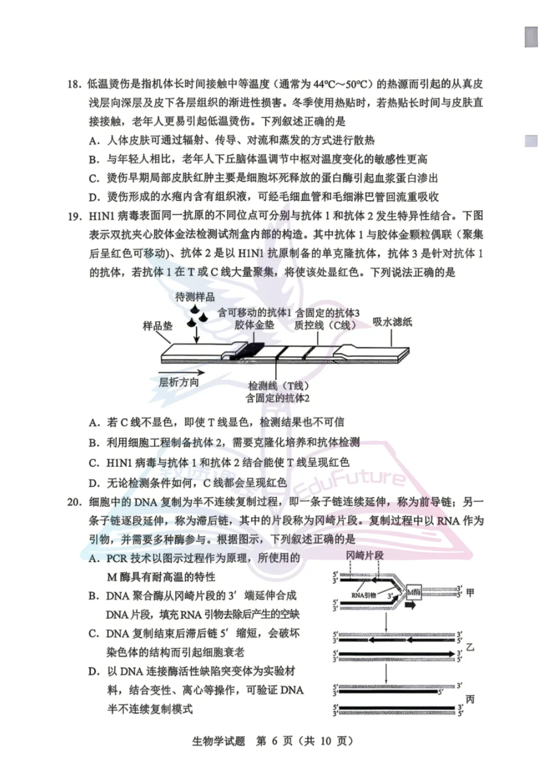 黑龙江省哈尔滨市高考第一次模拟生物试卷-第6张图片-四季读书网