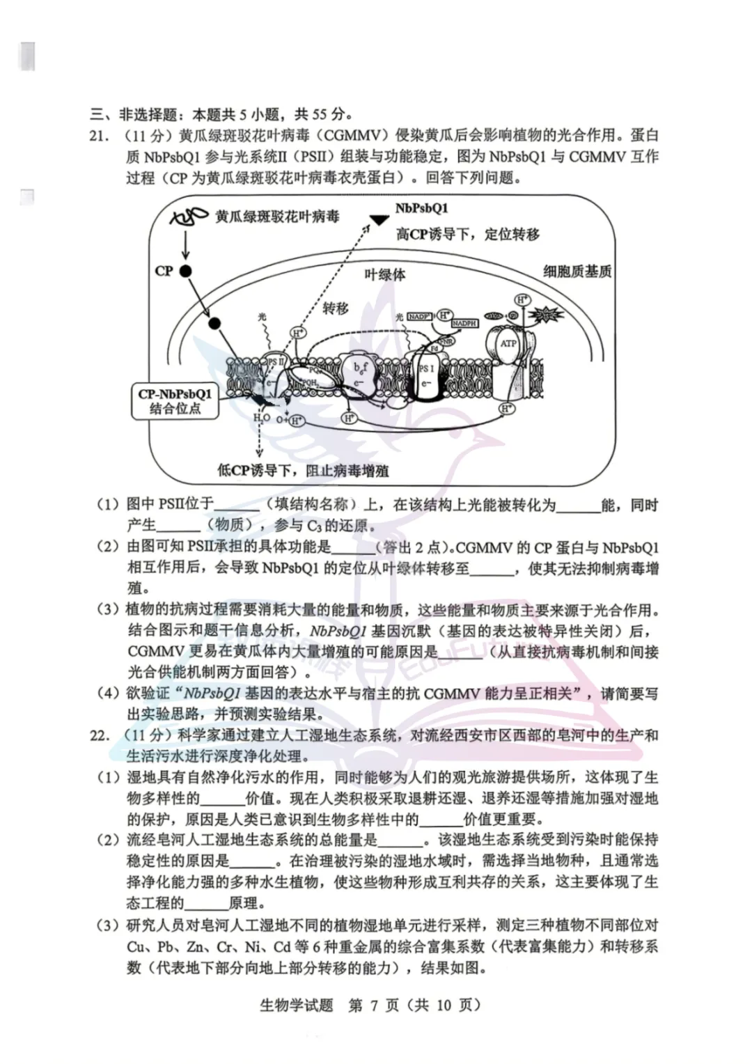 黑龙江省哈尔滨市高考第一次模拟生物试卷-第8张图片-四季读书网