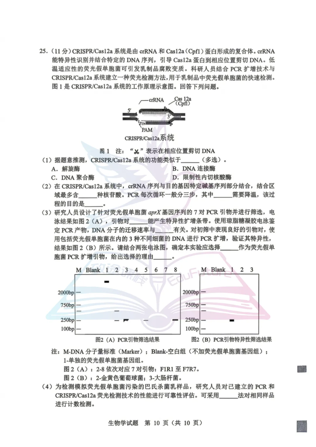 黑龙江省哈尔滨市高考第一次模拟生物试卷-第11张图片-四季读书网