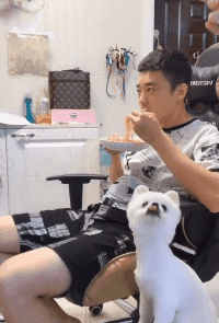 搞笑GIF:别人试卷上都画耐克,你却只给我画特步?-第3张图片-四季读书网