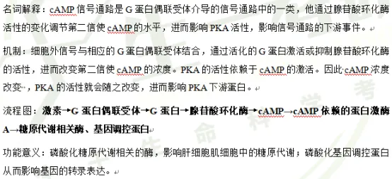 【真题解析】大部分院校的细胞真题年年都考这些知识点?!-第13张图片-四季读书网 【真题解析】大部分院校的细胞真题年年都考这些知识点?!-第13张图片-四季读书网