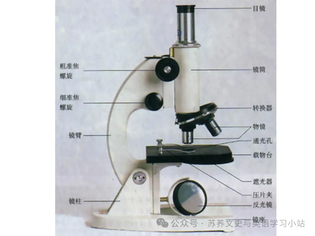 初中中考用生物学插图(摘自百度)-第1张图片-四季读书网