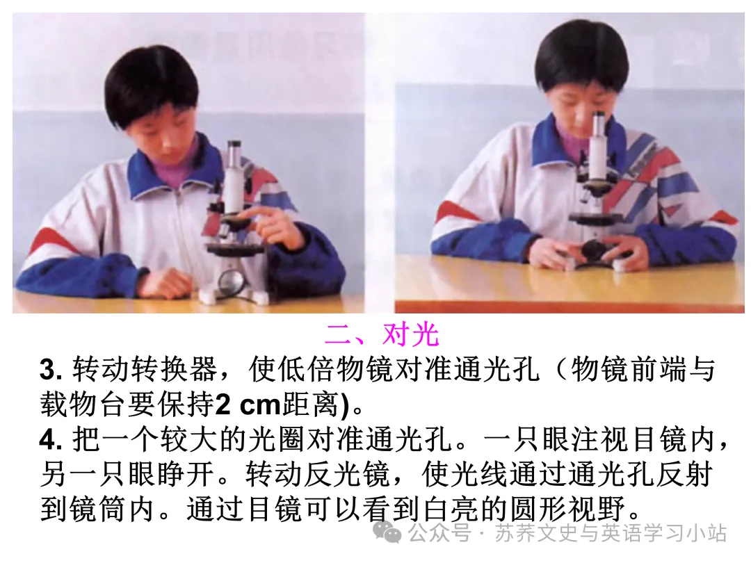 初中中考用生物学插图(摘自百度)-第3张图片-四季读书网