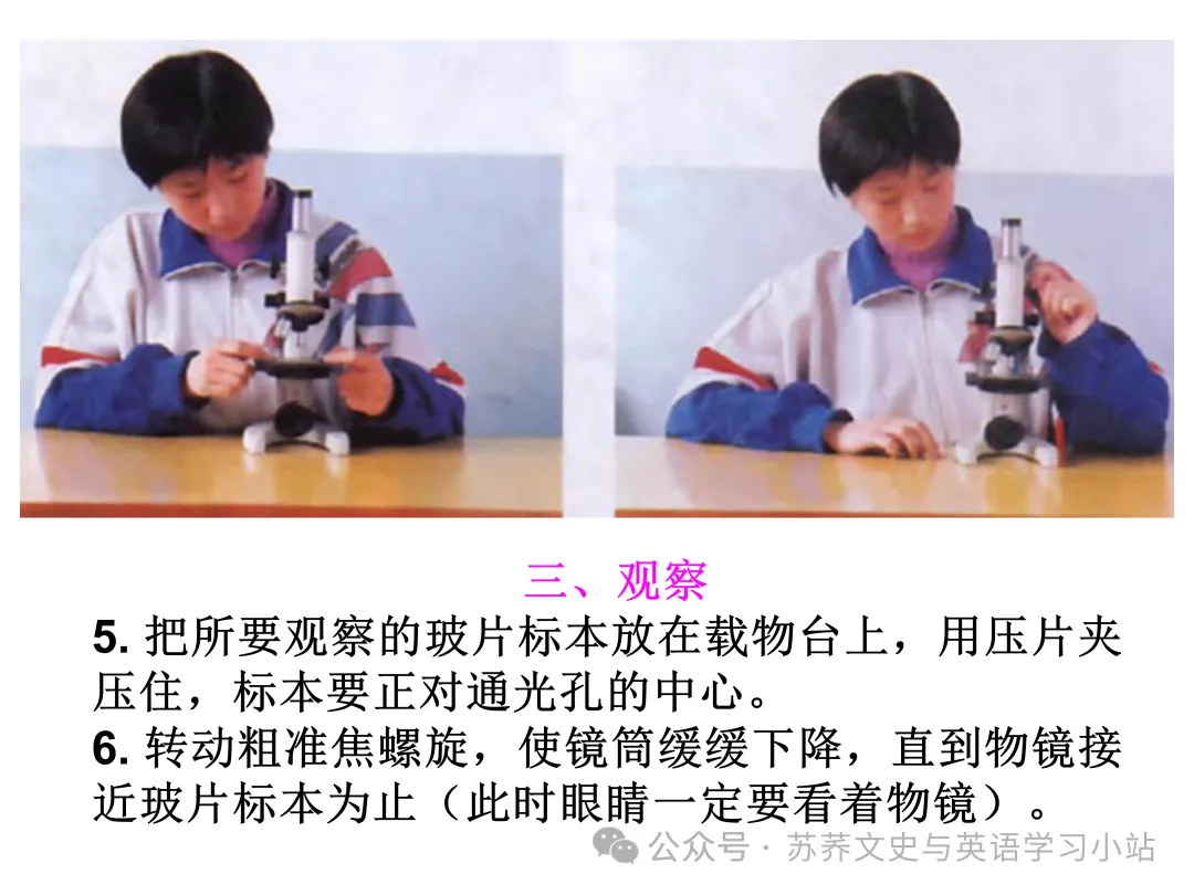 初中中考用生物学插图(摘自百度)-第4张图片-四季读书网