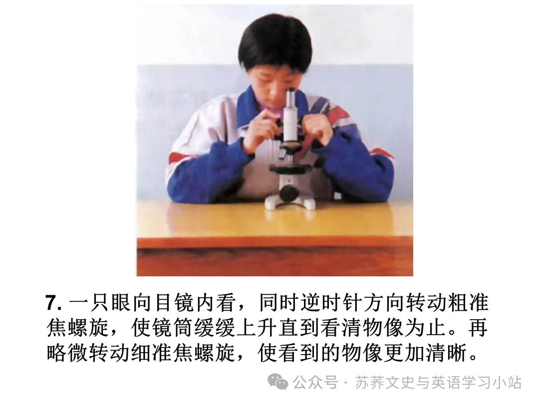 初中中考用生物学插图(摘自百度)-第5张图片-四季读书网