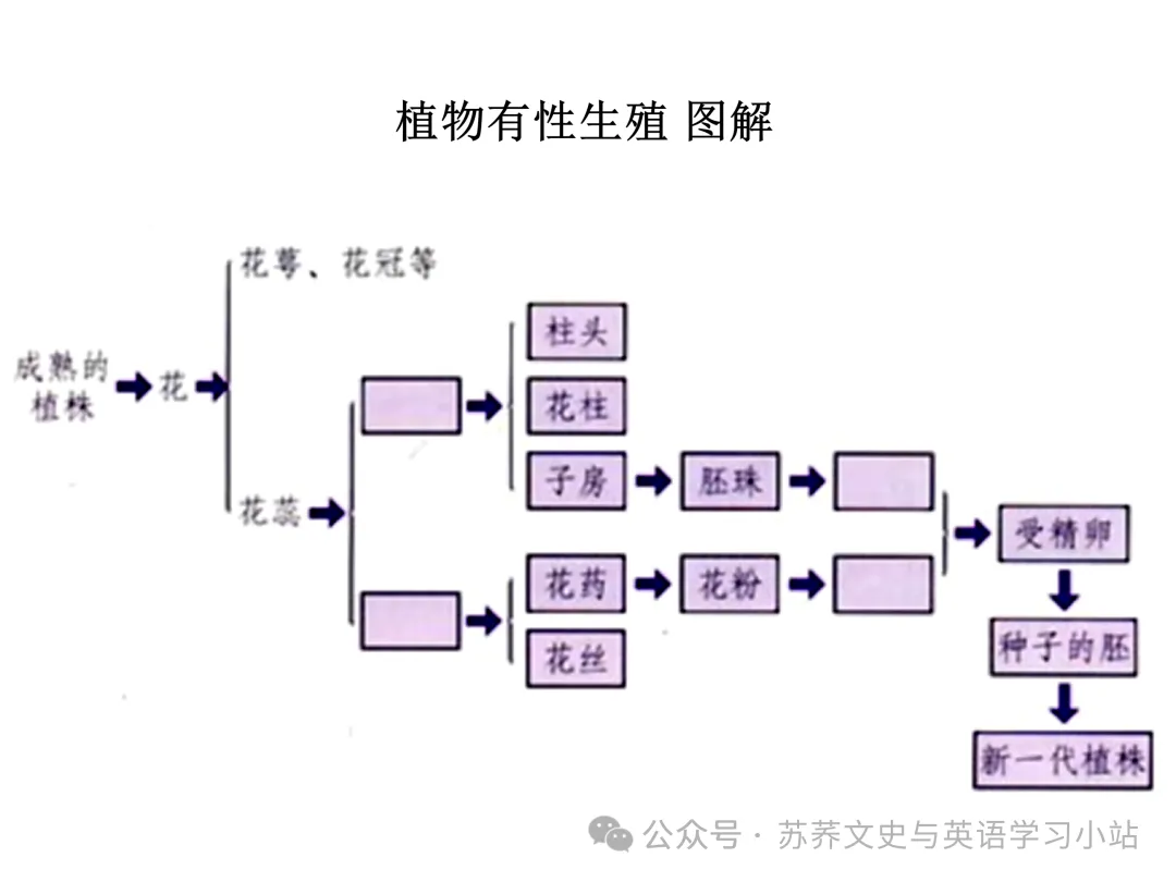 初中中考用生物学插图(摘自百度)-第24张图片-四季读书网