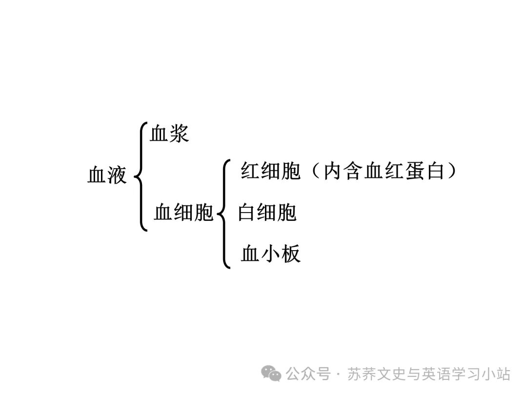 初中中考用生物学插图(摘自百度)-第34张图片-四季读书网