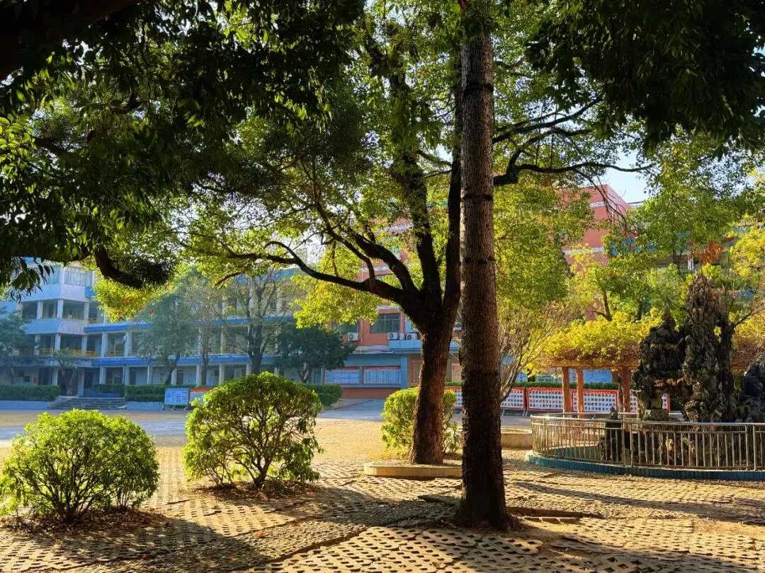 同心同行 决胜中考——崇雅中学召开2027届九年级第一学期家长会-第2张图片-四季读书网 同心同行 决胜中考——崇雅中学召开2027届九年级第一学期家长会-第2张图片-四季读书网