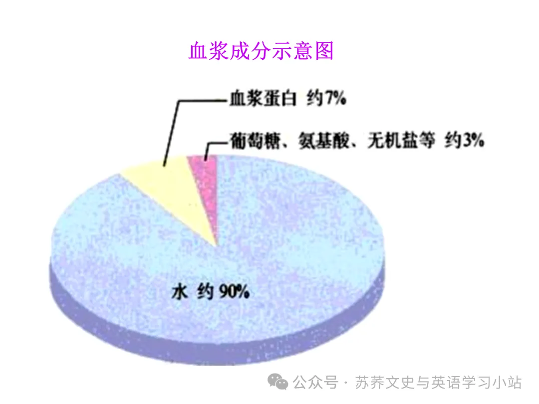 初中中考用生物学插图(摘自百度)-第35张图片-四季读书网