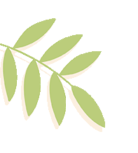 师者如光,虽微致远|九年级特辑:中考路上的引路人-第4张图片-四季读书网
