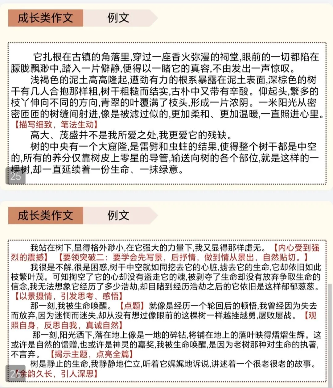 初中作文 中考作文 写作指导 成长类作文 起承转合-第9张图片-四季读书网