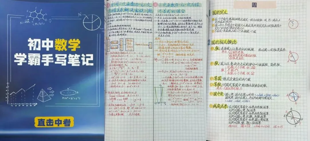 别盲目摇号!2026 杭州初中格局与中考择校指南-第16张图片-四季读书网 别盲目摇号!2026 杭州初中格局与中考择校指南-第16张图片-四季读书网