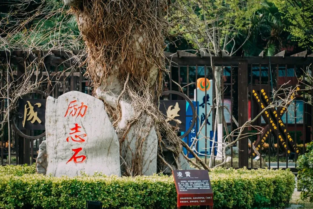 民兴明星NO.009|中考589分起步,文化和音乐双线突围,她叩开211大学之门-第24张图片-四季读书网 民兴明星NO.009|中考589分起步,文化和音乐双线突围,她叩开211大学之门-第24张图片-四季读书网