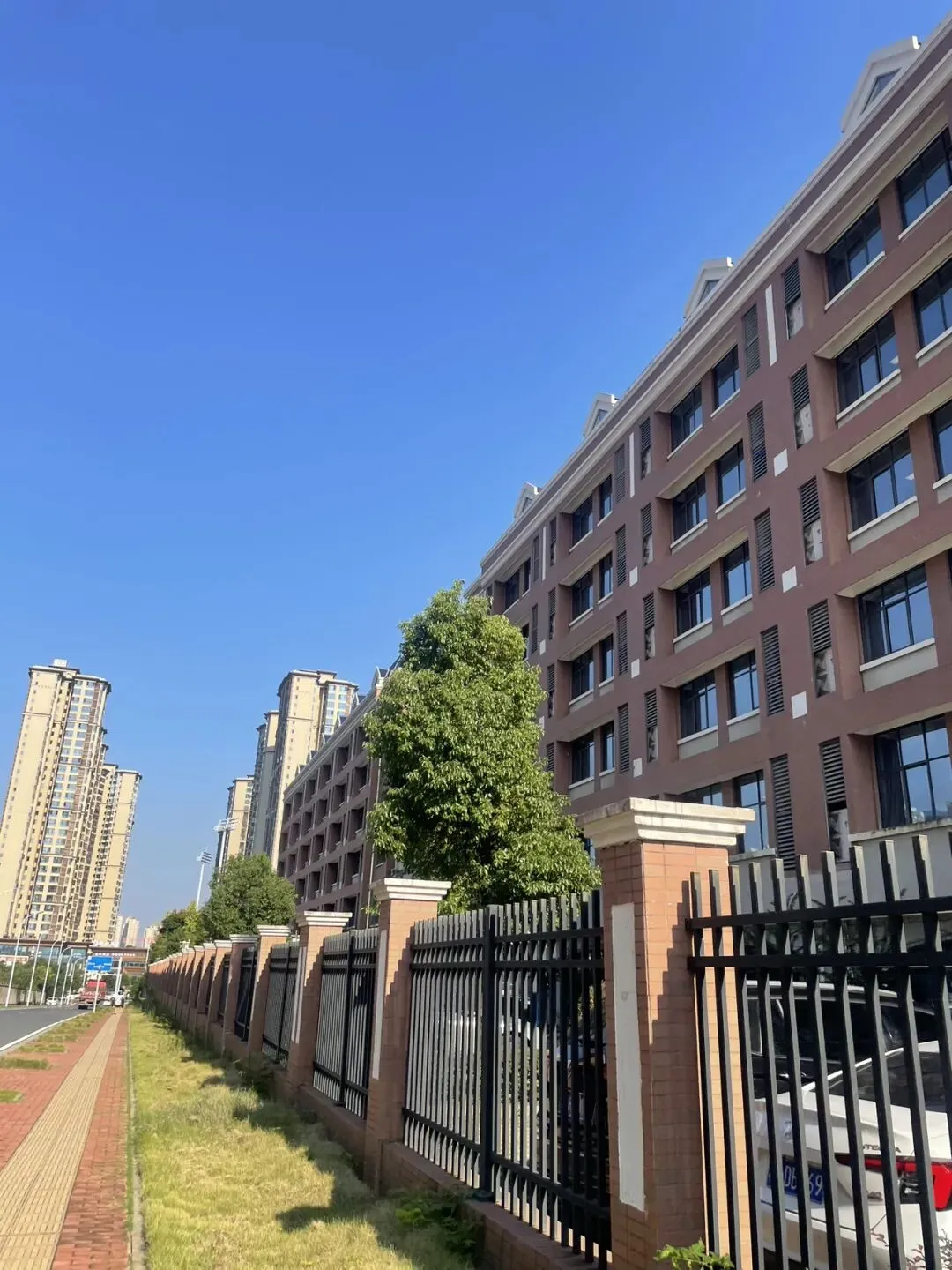 别等中考出分那天,才后悔这一年没拼过-第2张图片-四季读书网