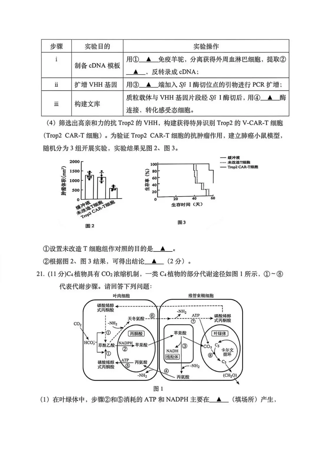 【真题速递】2026年高考江苏卷生物学试题-第5张图片-四季读书网