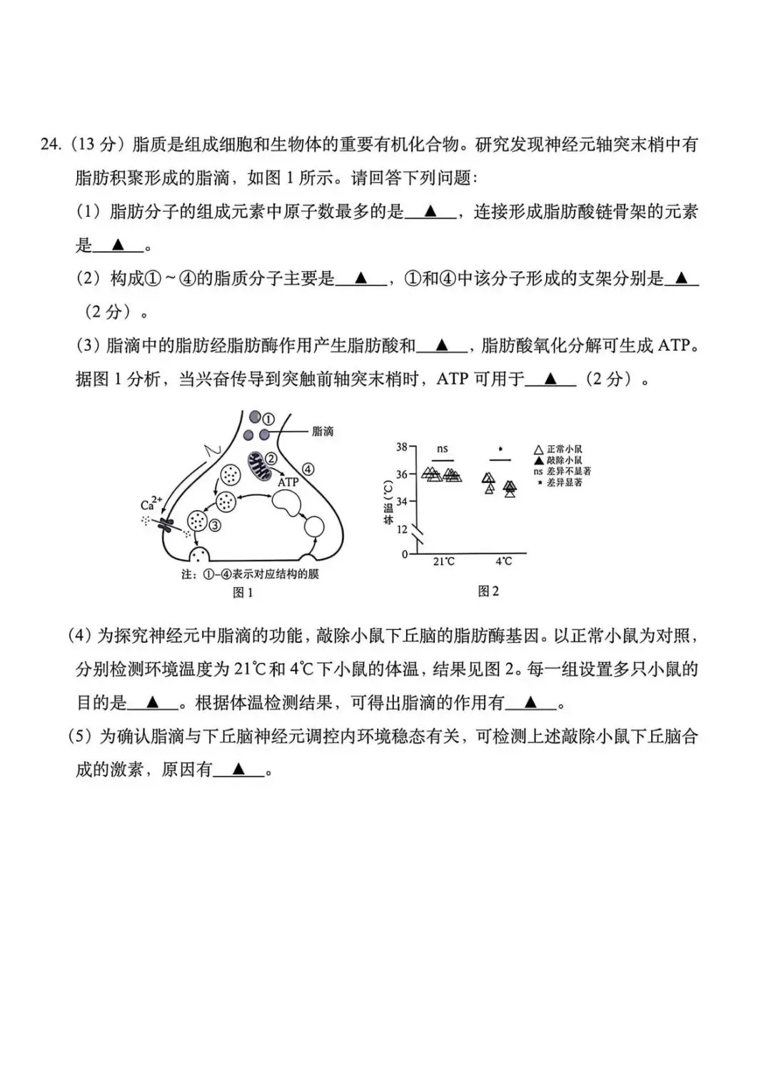 【真题速递】2026年高考江苏卷生物学试题-第9张图片-四季读书网