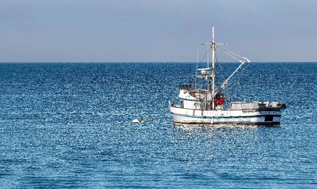 真题考古队 · 2006年考研英语客观题-第2张图片-四季读书网