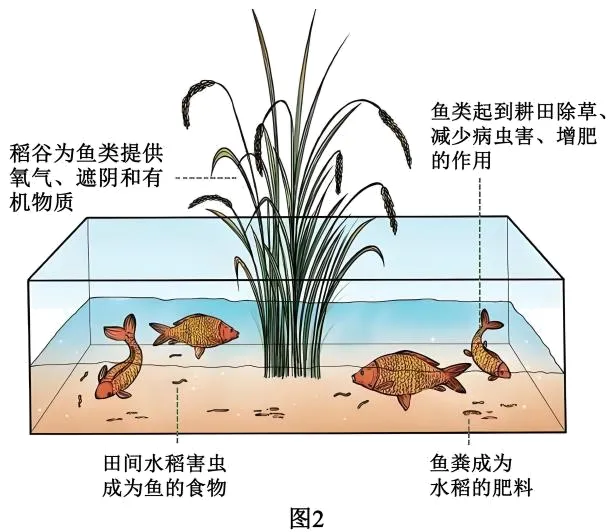 【举一反三】2026年高考地理真题变式训练57-第9张图片-四季读书网 【举一反三】2026年高考地理真题变式训练57-第9张图片-四季读书网