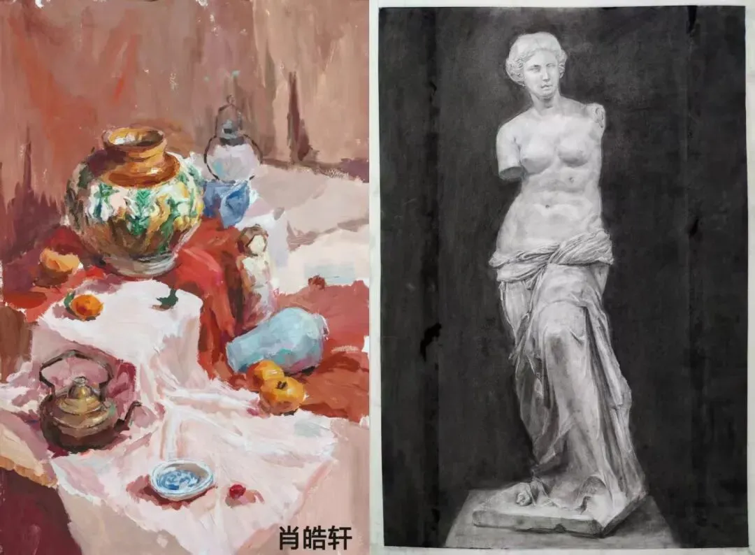 杨之光2026届美术中考录取学生各科作品分享-第11张图片-四季读书网 杨之光2026届美术中考录取学生各科作品分享-第11张图片-四季读书网