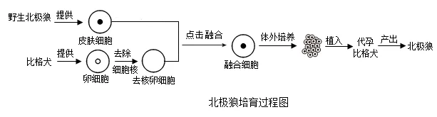 2025年苏州中考生物真题与答案-第2张图片-四季读书网 2025年苏州中考生物真题与答案-第2张图片-四季读书网