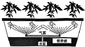 2025年苏州中考生物真题与答案-第3张图片-四季读书网 2025年苏州中考生物真题与答案-第3张图片-四季读书网