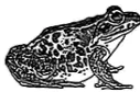 2025年苏州中考生物真题与答案-第9张图片-四季读书网 2025年苏州中考生物真题与答案-第9张图片-四季读书网