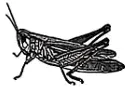 2025年苏州中考生物真题与答案-第11张图片-四季读书网 2025年苏州中考生物真题与答案-第11张图片-四季读书网