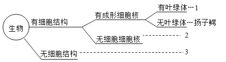 2025年苏州中考生物真题与答案-第13张图片-四季读书网 2025年苏州中考生物真题与答案-第13张图片-四季读书网