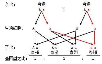 2025年苏州中考生物真题与答案-第18张图片-四季读书网 2025年苏州中考生物真题与答案-第18张图片-四季读书网