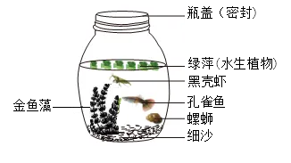 2025年苏州中考生物真题与答案-第22张图片-四季读书网 2025年苏州中考生物真题与答案-第22张图片-四季读书网