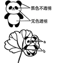 2025年苏州中考生物真题与答案-第25张图片-四季读书网 2025年苏州中考生物真题与答案-第25张图片-四季读书网