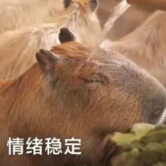 IB备考资源指南:分类题库、历年真题、PDF导出,一个网站全免费-第2张图片-四季读书网 IB备考资源指南:分类题库、历年真题、PDF导出,一个网站全免费-第2张图片-四季读书网