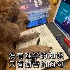 IB备考资源指南:分类题库、历年真题、PDF导出,一个网站全免费-第12张图片-四季读书网 IB备考资源指南:分类题库、历年真题、PDF导出,一个网站全免费-第12张图片-四季读书网
