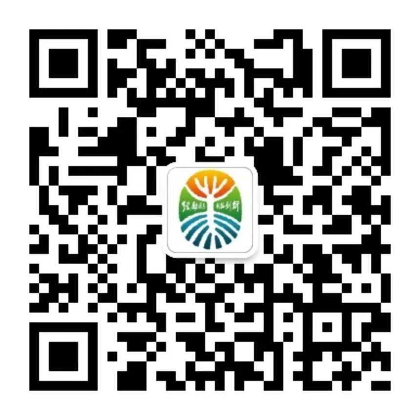 【质量三中】凝心聚力战中考 家校同心筑未来——西安市经开第三中学初2027届家长会圆满举行-第16张图片-四季读书网 【质量三中】凝心聚力战中考 家校同心筑未来——西安市经开第三中学初2027届家长会圆满举行-第16张图片-四季读书网