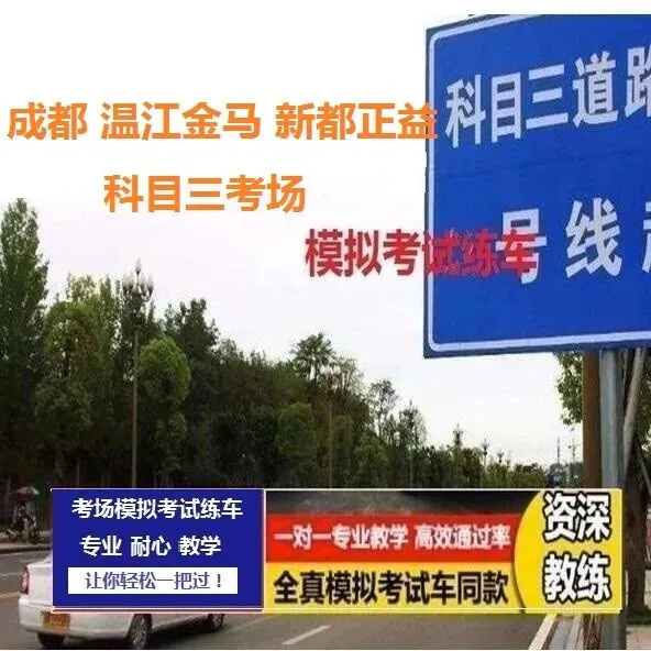 成都温江金马科目三考场考试视频讲解模拟练车路线图必过培训教程-第7张图片-四季读书网