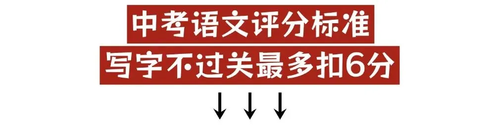 重磅!每天默写10分钟,中考稳拿18分!-第7张图片-四季读书网 重磅!每天默写10分钟,中考稳拿18分!-第7张图片-四季读书网