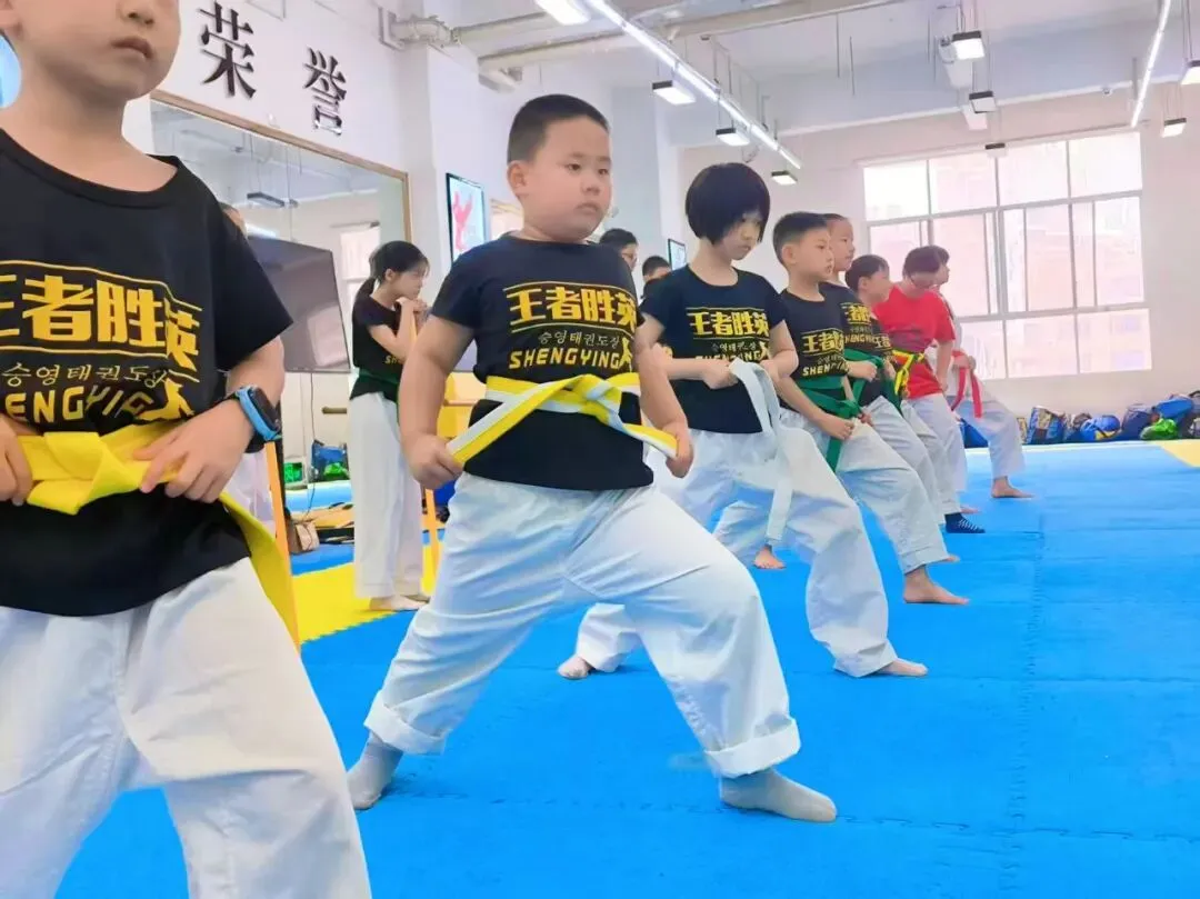 别让孩子的童年,只剩书桌与试卷-第12张图片-四季读书网 别让孩子的童年,只剩书桌与试卷-第12张图片-四季读书网