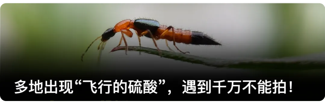 名古屋亚运会,中国军团奥运“期中考”丨图数室-第5张图片-四季读书网