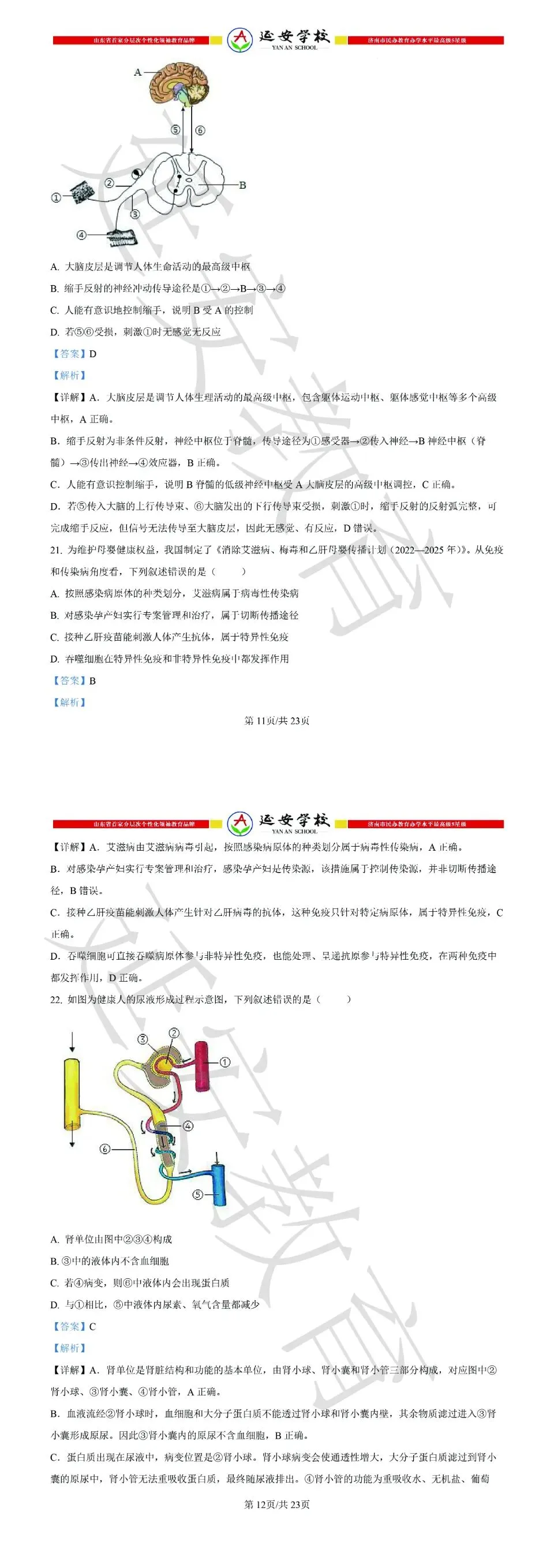 2026济南市中考生物试卷解析:真题演练、难点拆解、命题趋势-第14张图片-四季读书网 2026济南市中考生物试卷解析:真题演练、难点拆解、命题趋势-第14张图片-四季读书网
