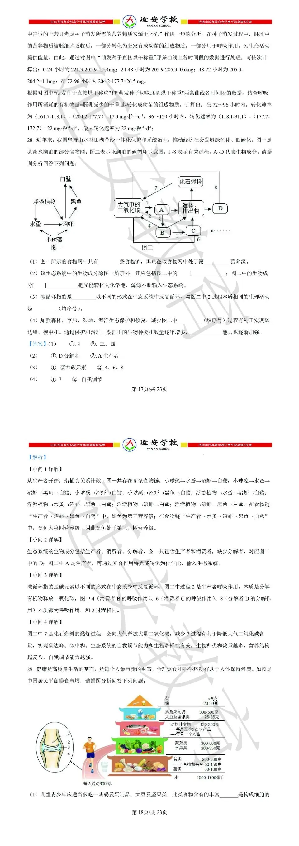 2026济南市中考生物试卷解析:真题演练、难点拆解、命题趋势-第17张图片-四季读书网 2026济南市中考生物试卷解析:真题演练、难点拆解、命题趋势-第17张图片-四季读书网