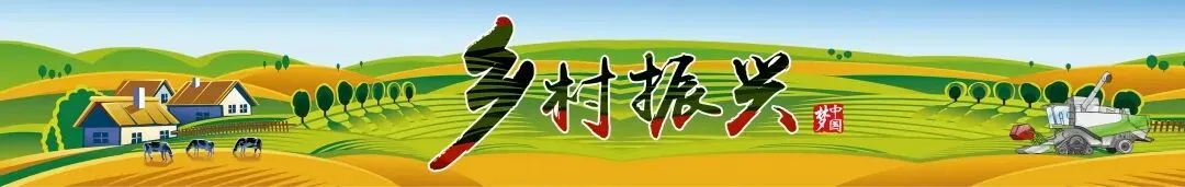 兴国县2021年普通高考工作调度会召开-第3张图片-四季读书网 兴国县2021年普通高考工作调度会召开-第3张图片-四季读书网