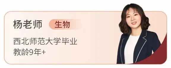 备战2027新高考!嘉祥九思高考学校西藏班招生-第105张图片-四季读书网 备战2027新高考!嘉祥九思高考学校西藏班招生-第105张图片-四季读书网