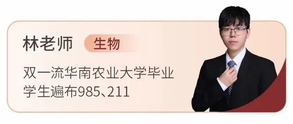 备战2027新高考!嘉祥九思高考学校西藏班招生-第106张图片-四季读书网 备战2027新高考!嘉祥九思高考学校西藏班招生-第106张图片-四季读书网